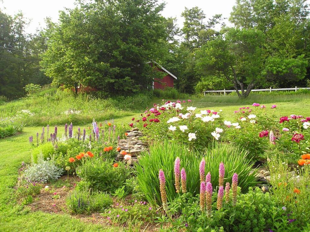 Cooper Hill Inn East Dover Extérieur photo